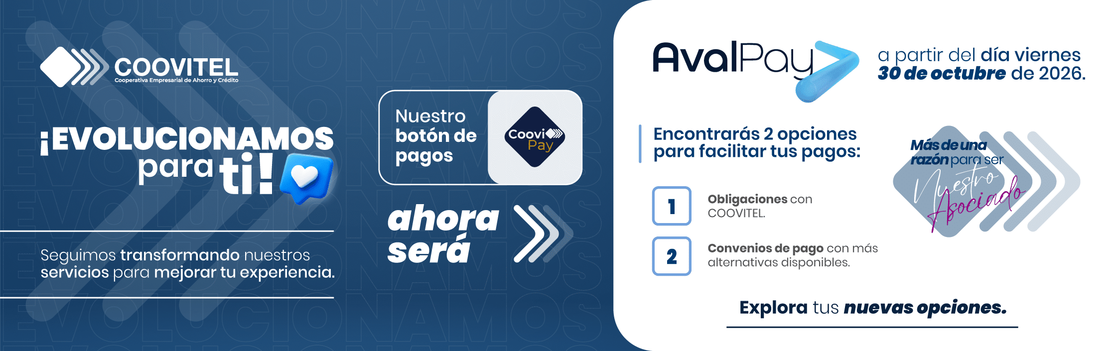 banner_boton_Avalpay